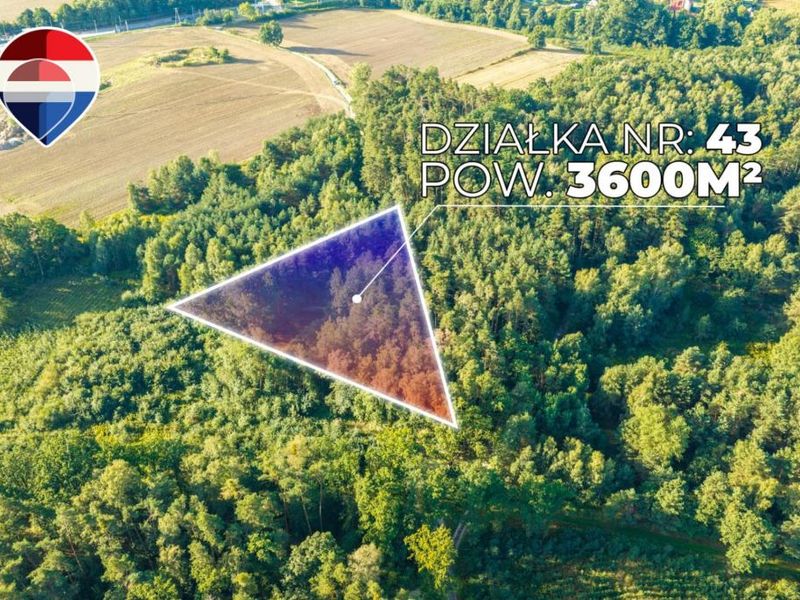 Zdjęcie ogłoszenia -  