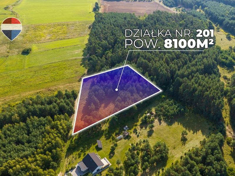 Zdjęcie ogłoszenia -  