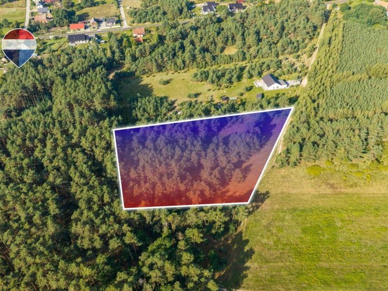 Zdjęcie ogłoszenia -  