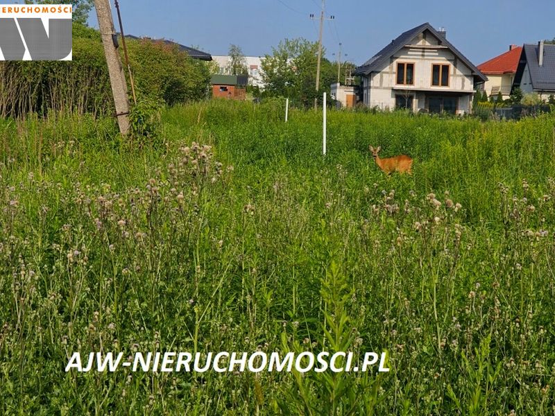 Zdjęcie ogłoszenia -  