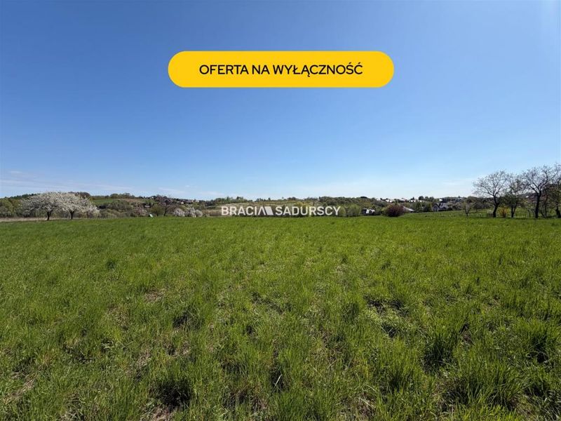 Zdjęcie ogłoszenia -  