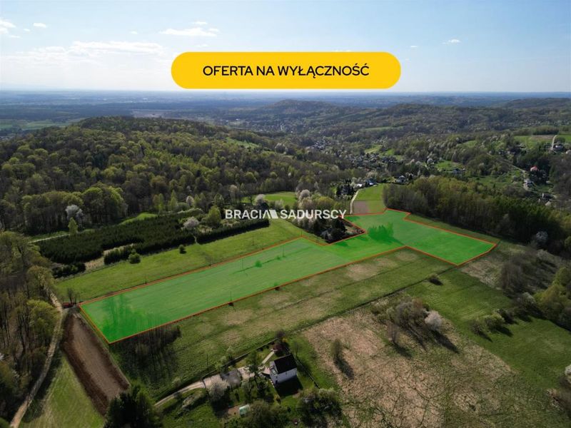 Zdjęcie ogłoszenia -  