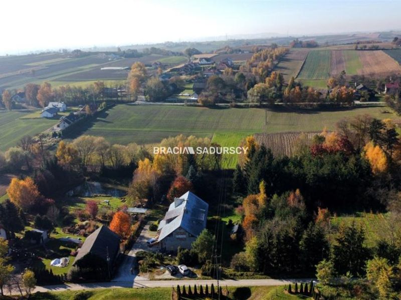 Zdjęcie ogłoszenia -  