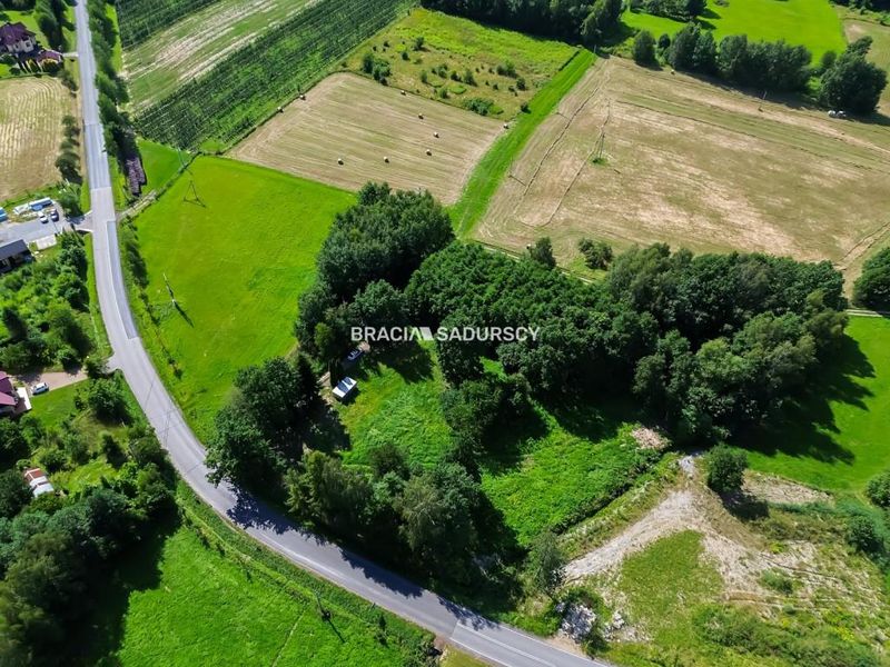 Zdjęcie ogłoszenia -  