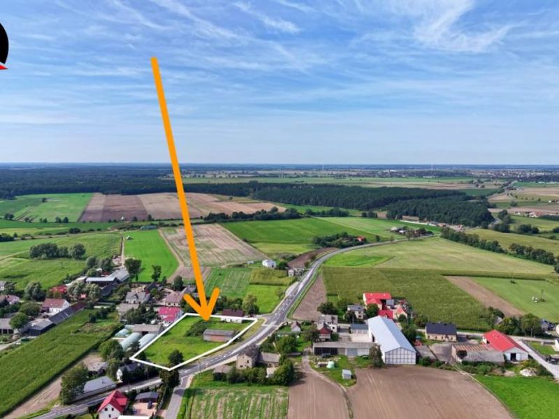 Zdjęcie ogłoszenia -  