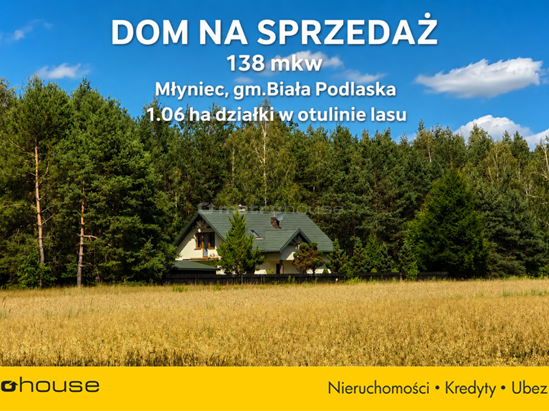 Zdjęcie ogłoszenia -  