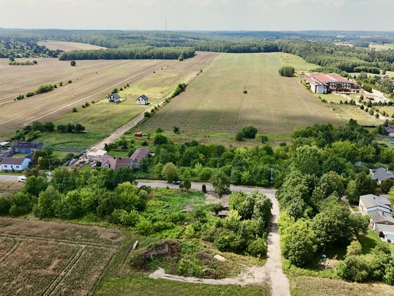 Zdjęcie ogłoszenia -  