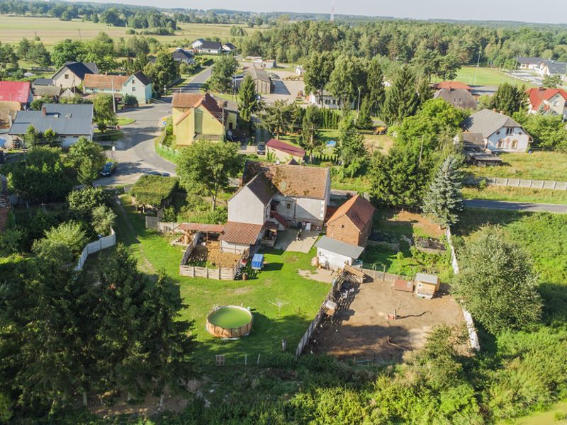 Zdjęcie ogłoszenia -  