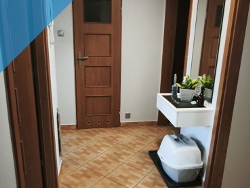Zdjęcie ogłoszenia -  
