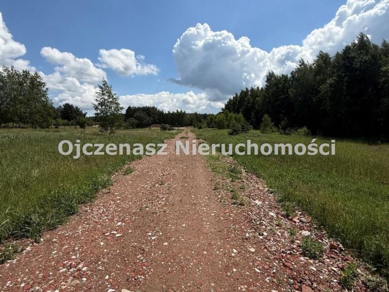 Zdjęcie ogłoszenia -  