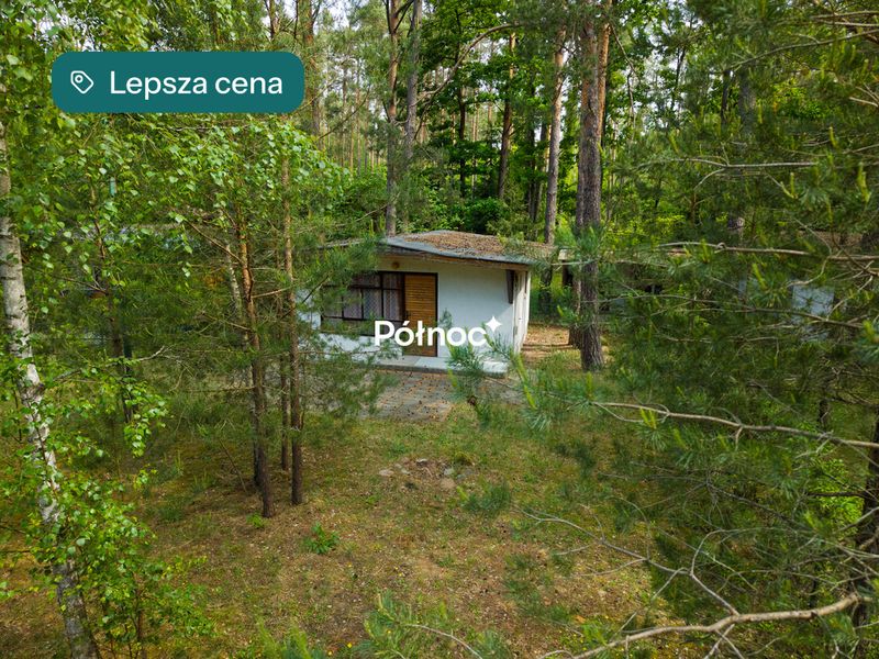 Zdjęcie ogłoszenia -  