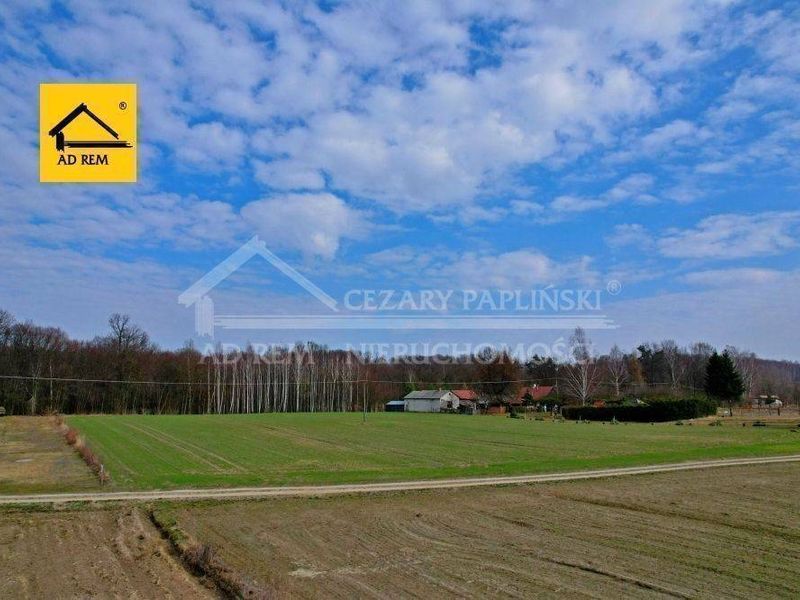 Zdjęcie ogłoszenia -  