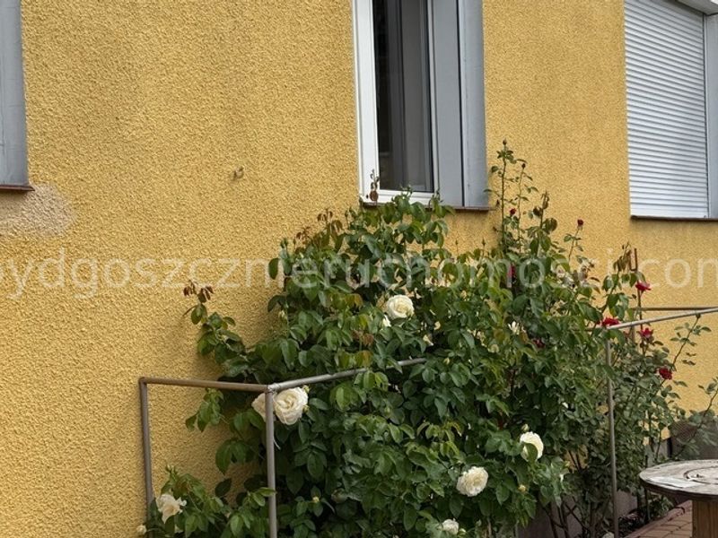 Zdjęcie ogłoszenia -  