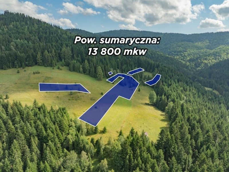 Zdjęcie ogłoszenia -  