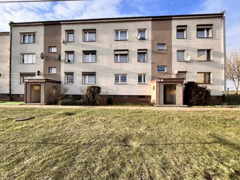 Zdjęcie ogłoszenia -  