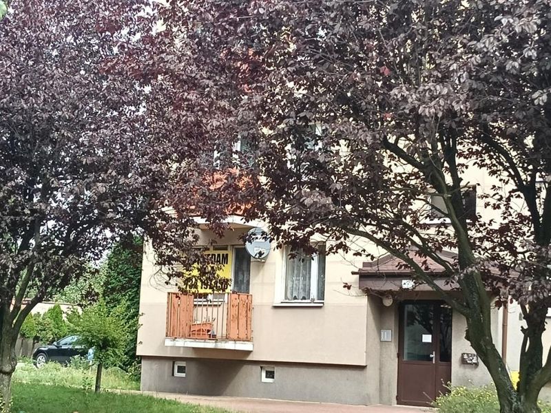 Zdjęcie ogłoszenia -  