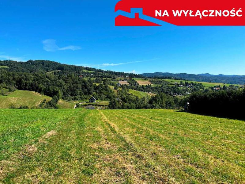 Zdjęcie ogłoszenia -  
