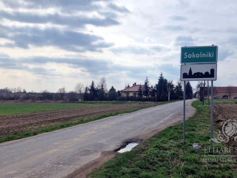 Zdjęcie ogłoszenia -  