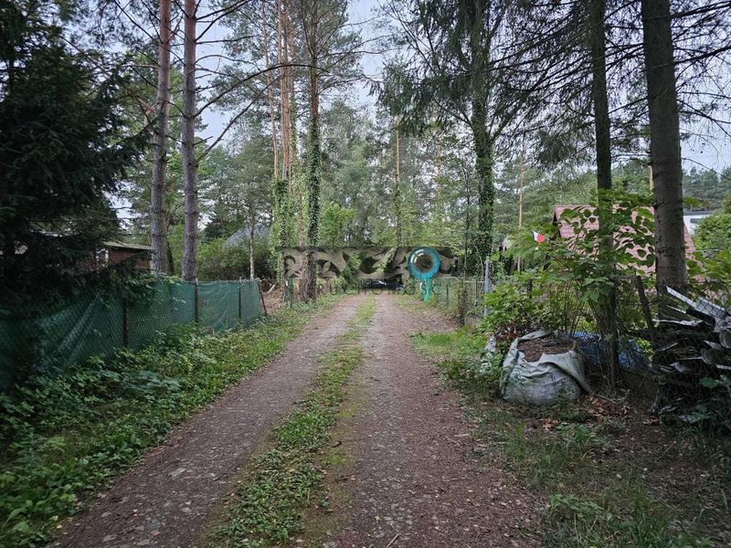 Zdjęcie ogłoszenia -  