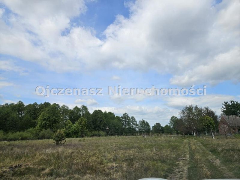 Zdjęcie ogłoszenia -  