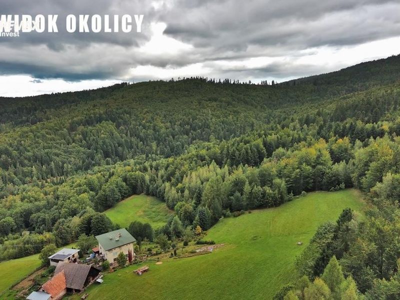 Zdjęcie ogłoszenia -  