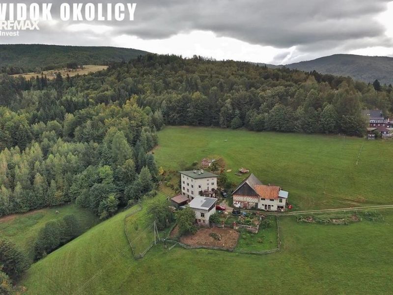 Zdjęcie ogłoszenia -  