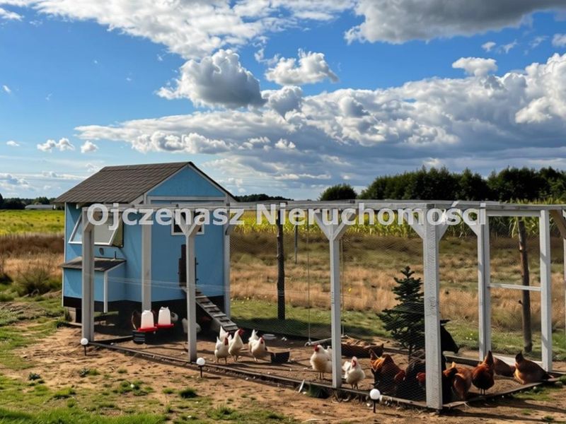 Zdjęcie ogłoszenia -  