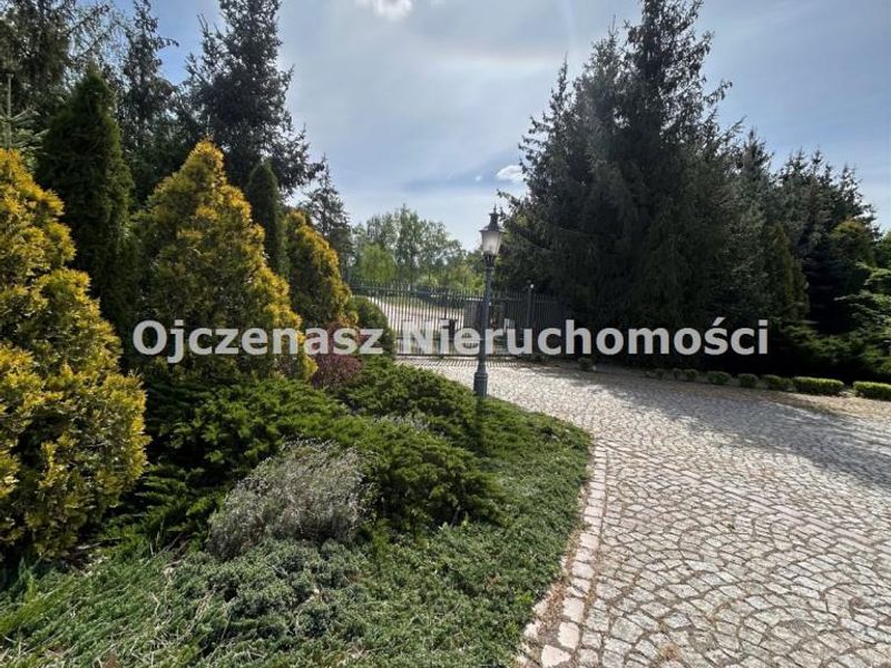 Zdjęcie ogłoszenia -  