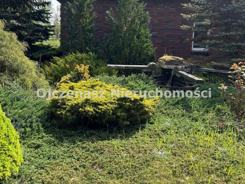 Zdjęcie ogłoszenia -  