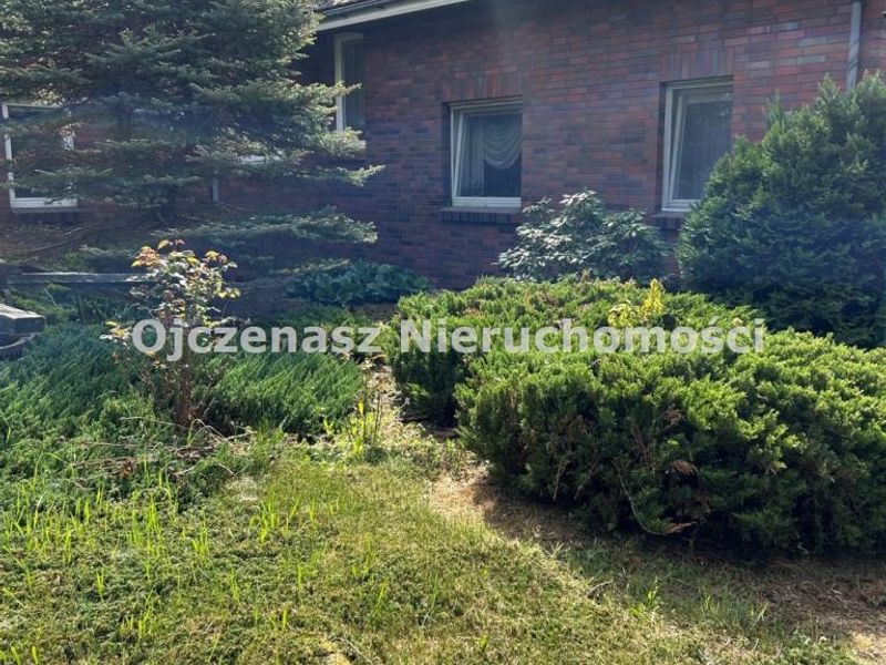 Zdjęcie ogłoszenia -  