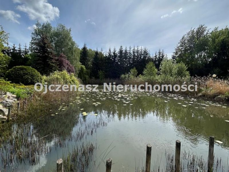 Zdjęcie ogłoszenia -  