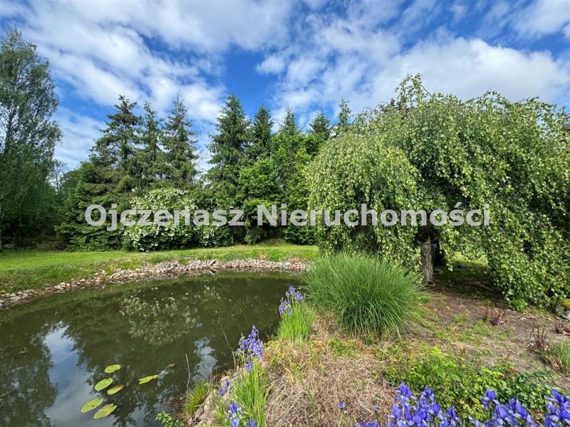 Zdjęcie ogłoszenia -  
