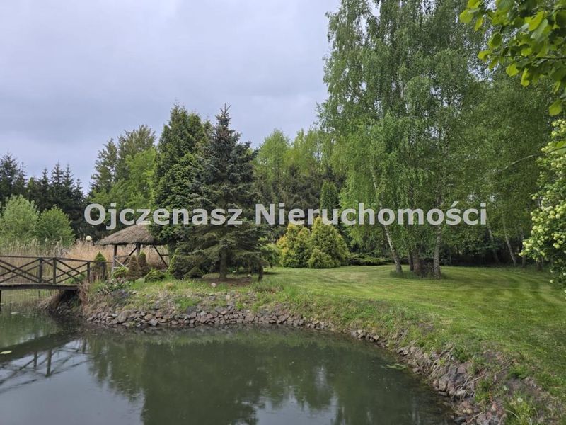 Zdjęcie ogłoszenia -  