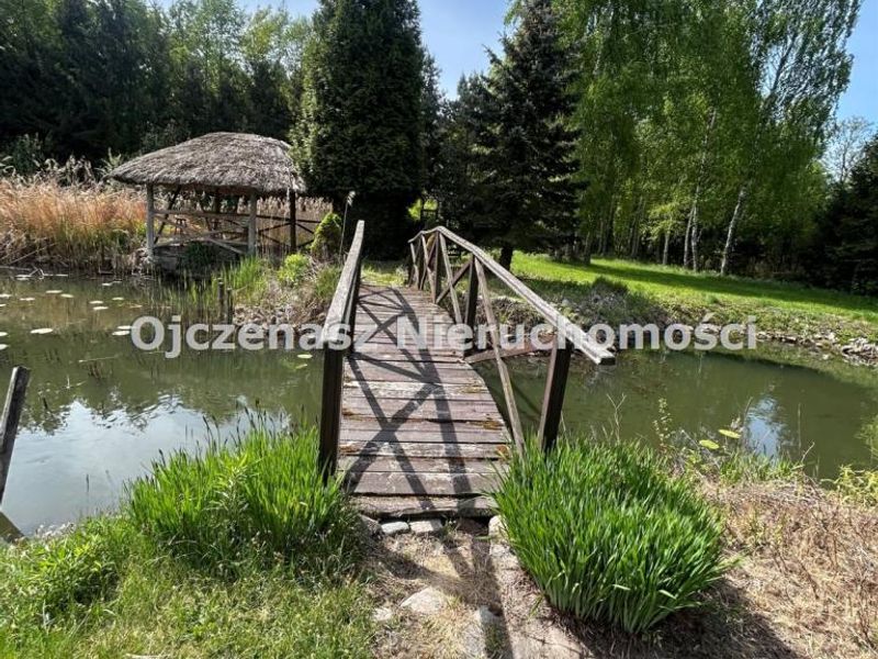 Zdjęcie ogłoszenia -  