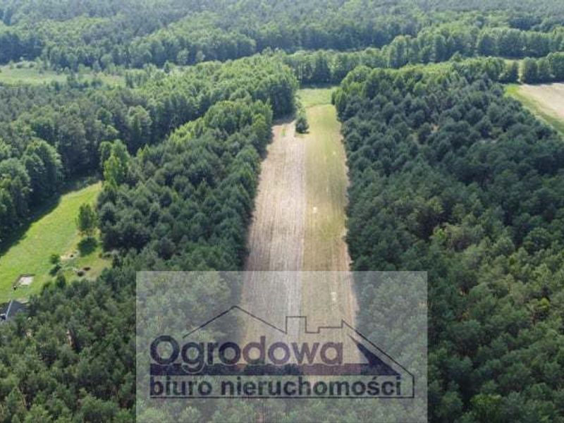 Zdjęcie ogłoszenia -  