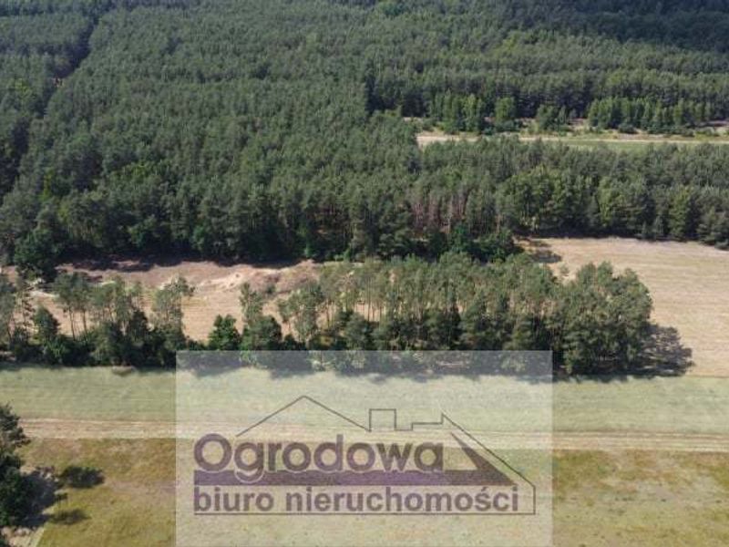 Zdjęcie ogłoszenia -  