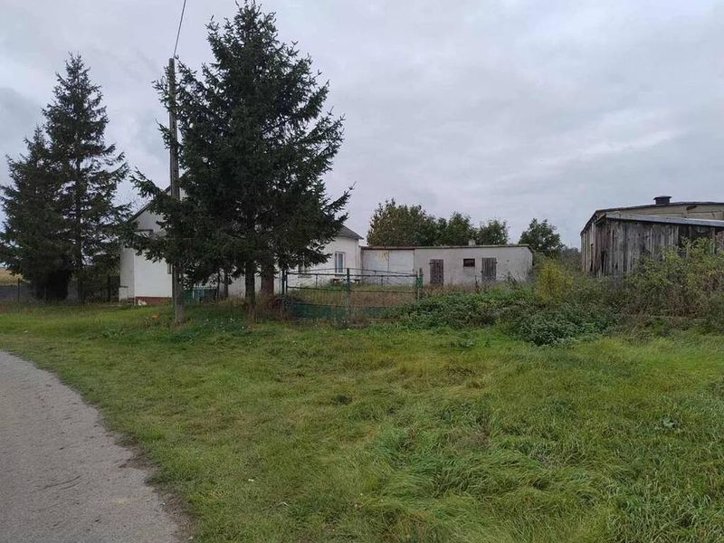 Zdjęcie ogłoszenia -  