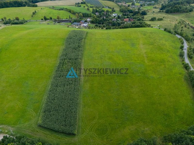 Zdjęcie ogłoszenia -  