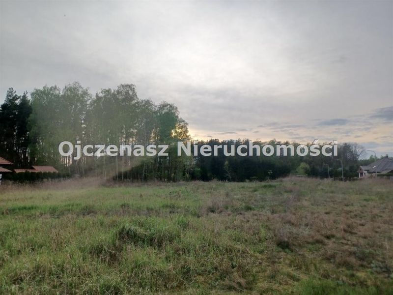 Zdjęcie ogłoszenia -  