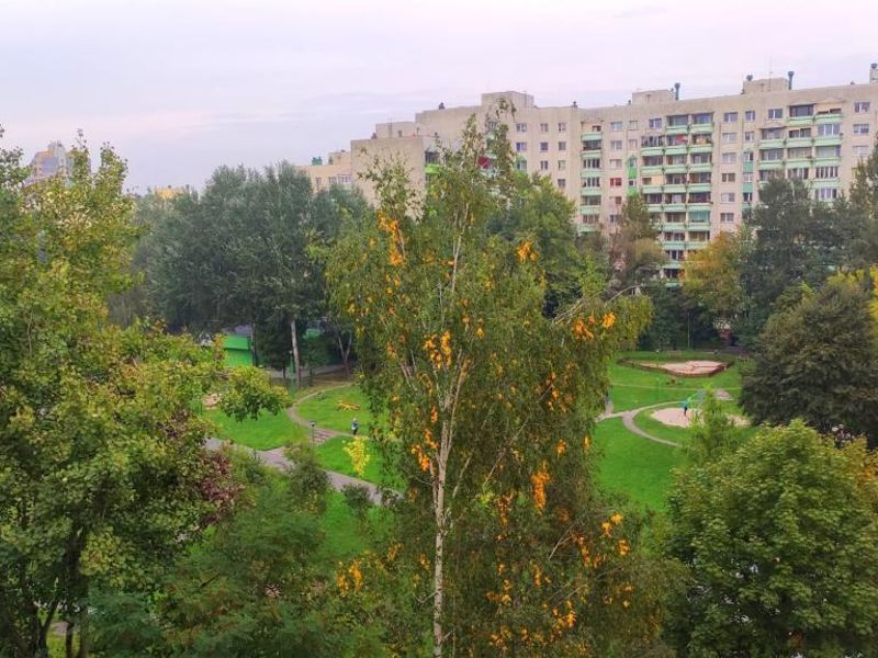 Zdjęcie ogłoszenia -  