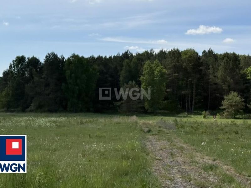 Zdjęcie ogłoszenia -  