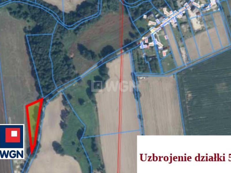 Zdjęcie ogłoszenia -  