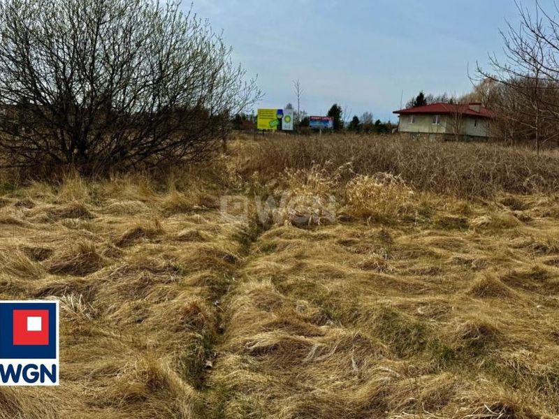 Zdjęcie ogłoszenia -  