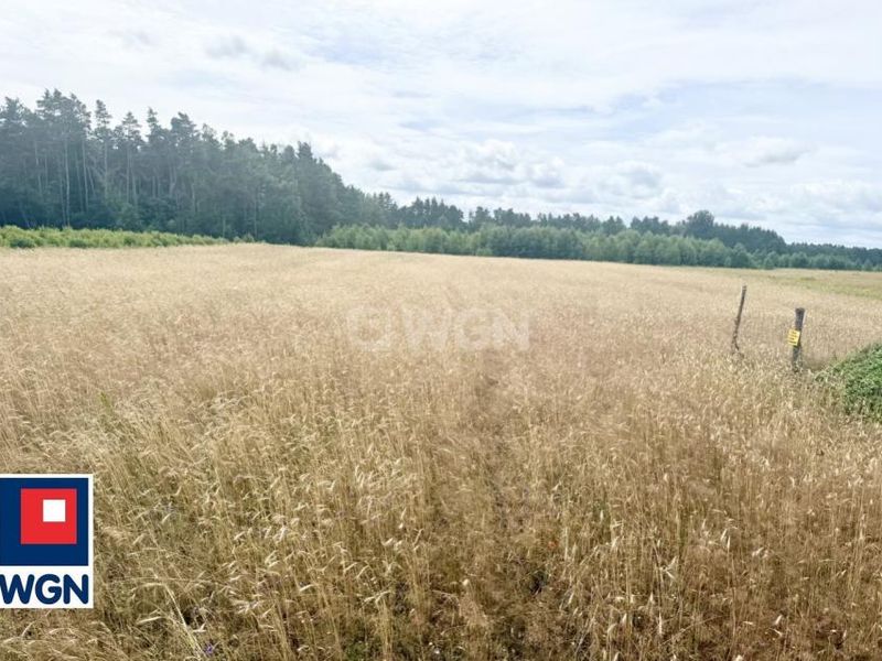 Zdjęcie ogłoszenia -  