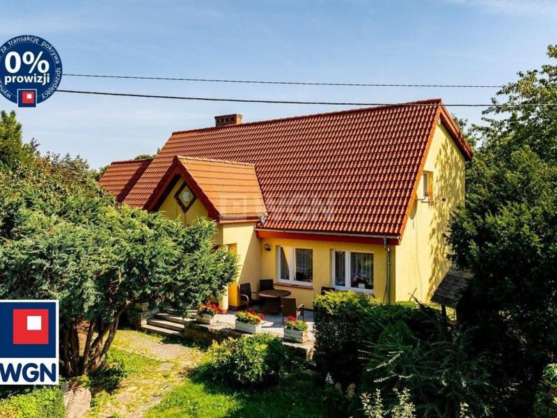 Zdjęcie ogłoszenia -  