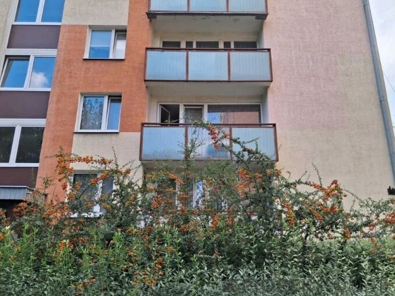 Zdjęcie ogłoszenia -  