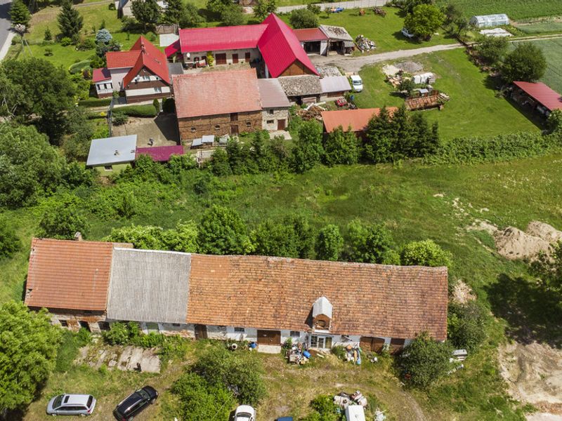 Zdjęcie ogłoszenia -  