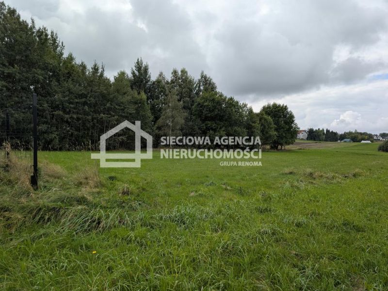 Zdjęcie ogłoszenia -  