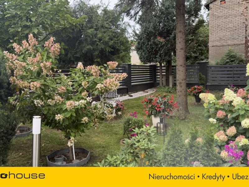 Zdjęcie ogłoszenia -  