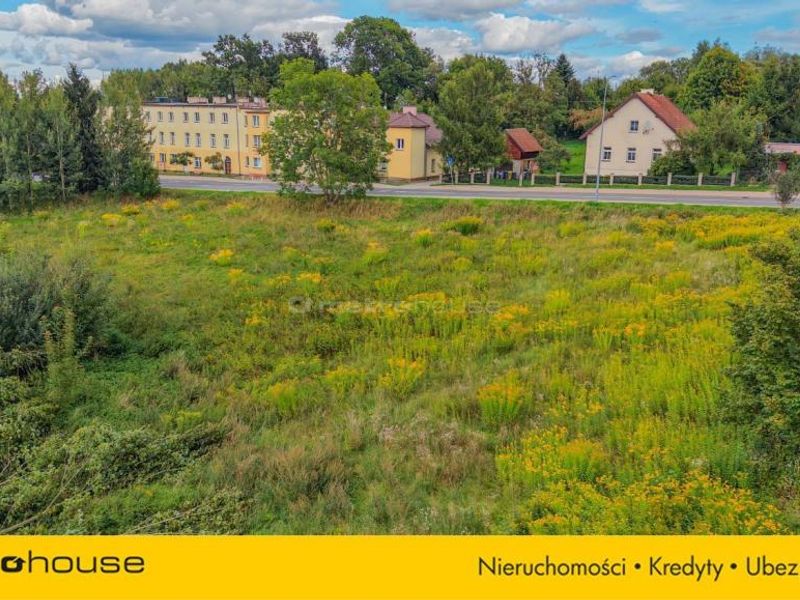 Zdjęcie ogłoszenia -  